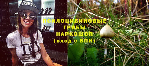 амф Алзамай
