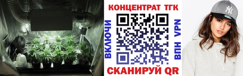 ТГК Wax  Купить где  Томмот 